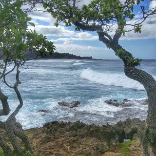 波,风,岛,天堂,热带,海洋,海岸 波,风,岛,天堂,热带,海洋,海岸