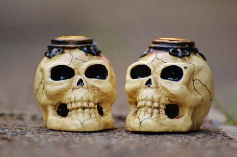 哺乳类,骷髅,工艺品,骷髅头,玩具,在灰色的背景上的头骨