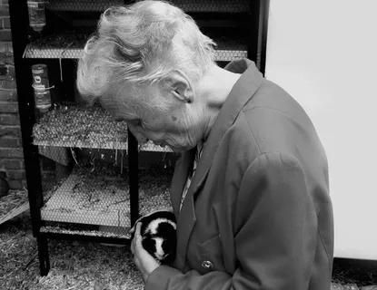 家属，痴呆症，女人，年龄，年龄，阿尔茨海默氏病