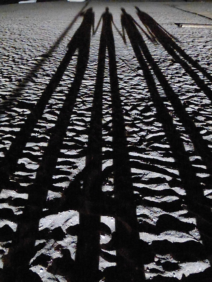 沙，海滩，阴影，长，暮光之城，侧影