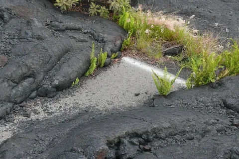 夏威夷,国家公园,火山,自然,熔岩,海洋 夏威夷,国家公园,火山,自然,熔岩,海洋