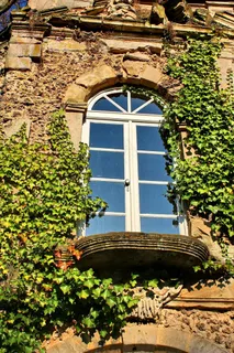 窗口，常春藤，墙，浪漫，外立面，污垢，登山者