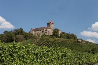 城堡，中世纪，城堡利希滕贝格，葡萄园