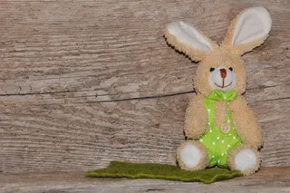 织物兔子，野兔，木材，背景，文本自由