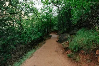 徒步旅行，徒步旅行，径，路径，污垢，户外，自然