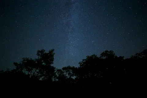 天文摄影,星系,星团,卷积云,太空,银河系在树木的轮廓 天文摄影,星系,星团,卷积云,太空,银河系在树木的轮廓