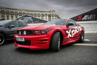 野马，车，运动，汽车，设计，汽车，速度