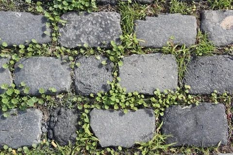 石头,背景,石头,纹理,性质,草 石头,背景,石头,纹理,性质,草