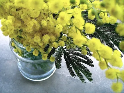 鲜花,束,黄色,花束,花的 鲜花,束,黄色,花束,花的