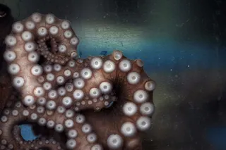 摄影师在2010年陆军数码摄影大赛110311中开拓了视野