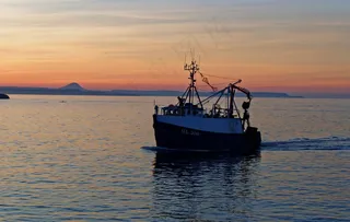 渔船，船，日落，港口，黄昏，渔获，旅行
