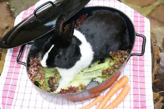 野兔，兔子，黑色，白色，锅，蔬菜，宠物