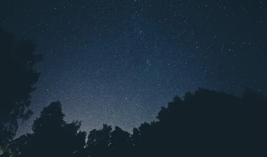星团,天文摄影,星群,星系,卷积云,上面满天星斗的树木 星团,天文摄影,星群,星系,卷积云,上面满天星斗的树木