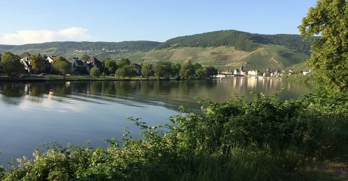 摩泽尔，Bernkastel，库斯，酒，水，江，夏天