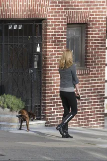 女人,别致,狗,城市,街 女人,别致,狗,城市,街