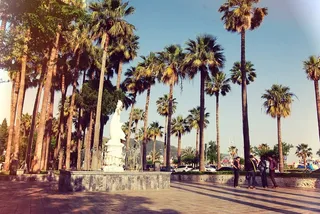 马尔马里斯，土耳其，棕榈树，地区，夏天，纪念碑