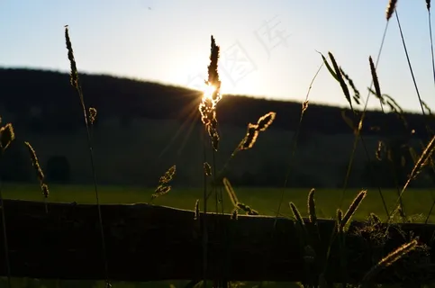 自然,风景,太阳,夏天,舒马瓦 自然,风景,太阳,夏天,舒马瓦