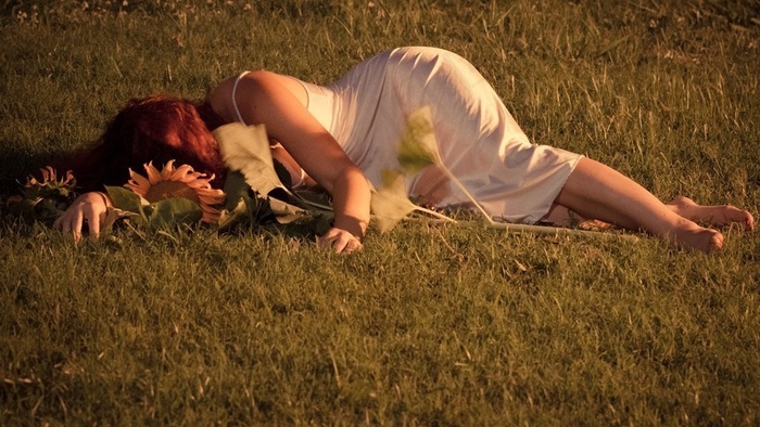 麦田,草原,稻田,花卉,粮田,迷信的后果