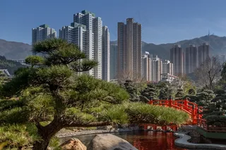 摩天大楼，树，城市，建筑，城市，景观