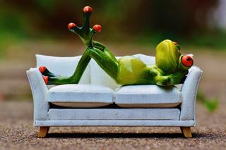 青蛙，沙发，放松，休息，可笑，可爱，图，沙发