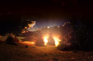 风景，针叶树，晚上，黑暗，日落，照明