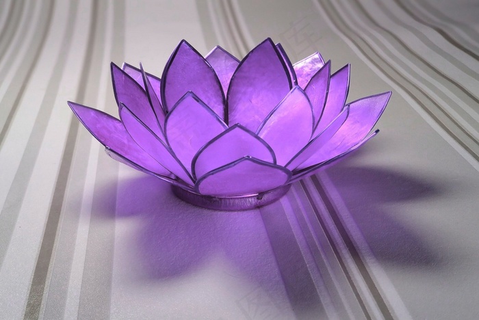 睡莲，玻璃，紫色，装饰
