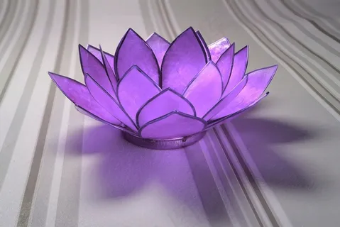 睡莲，玻璃，紫色，装饰