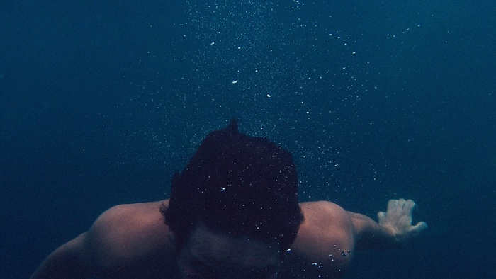 鱼类,水底摄影,魔鬼鱼,石头,水母湖,海人人海洋