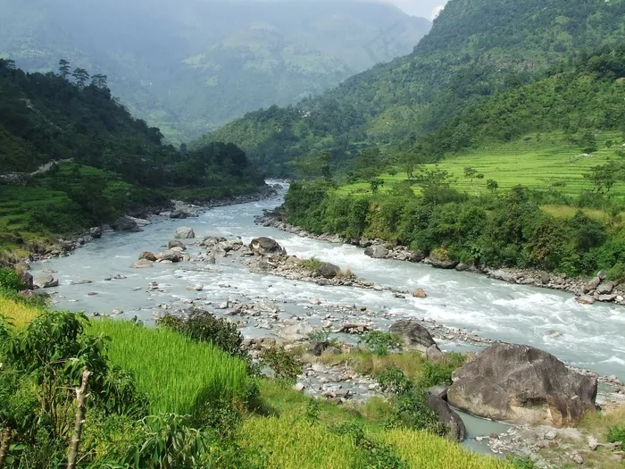 尼泊尔，安纳布尔纳峰，徒步旅行，森林，山脉，性质