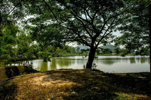 景观，湖泊，树木，银行