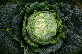 皱叶甘蓝，科尔，蔬菜，健康，皱叶甘蓝，绿色