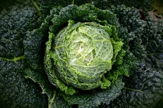 皱叶甘蓝，科尔，蔬菜，健康，皱叶甘蓝，绿色