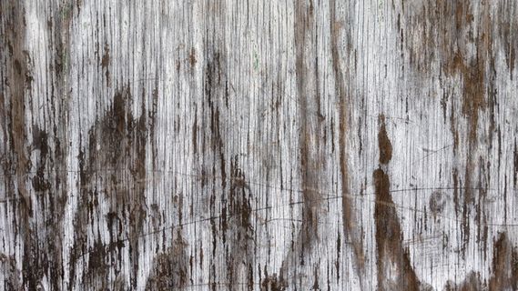 背景，纹理，木，风化，门，木板