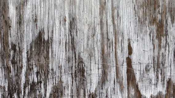 背景，纹理，木，风化，门，木板