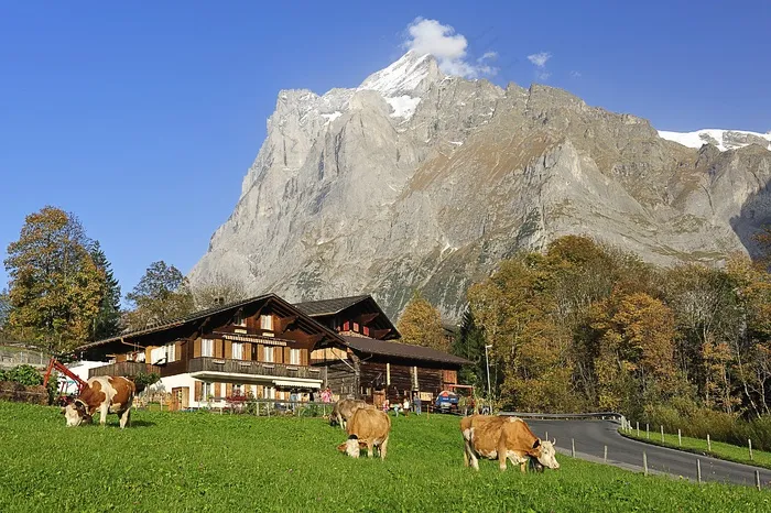 格林德瓦，农舍，远足山，秋季