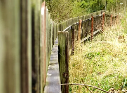 篱笆，老，木栅栏，苔，木材，烂木，帕林