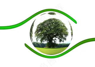 生态，保护，保护，树木，责任