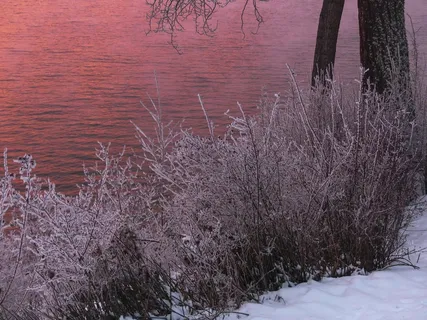 日出，清晨，水，山，冬季魔术