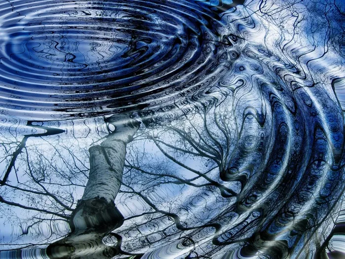 圆环，镜像，水，波，湖泊，桦木，树