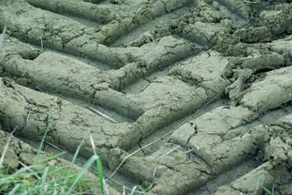 地球，痕迹，轮胎，指纹，泥