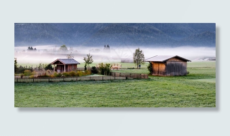 秋天的心情，景观，雾，秋天，心情，早晨