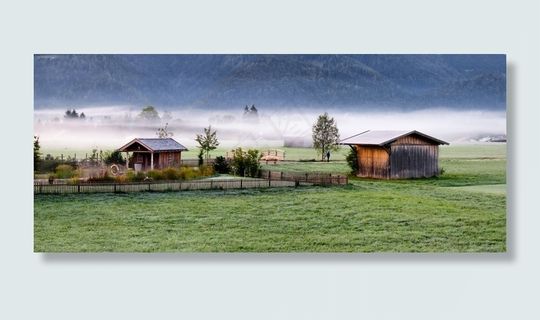 秋天的心情，景观，雾，秋天，心情，早晨