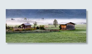 秋天的心情，景观，雾，秋天，心情，早晨