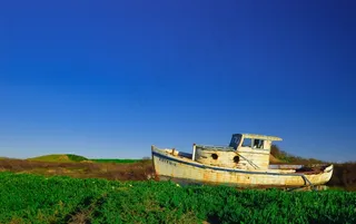 船，酿酒，Oldschool，铁锈，草，字段，蓝色