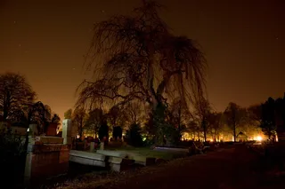 树,街道,夜景摄影,天空,建筑,夜树怪异的闷闷不乐