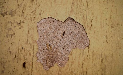 石膏，旧，堕落，瑕疵，黄色，棕色，脏