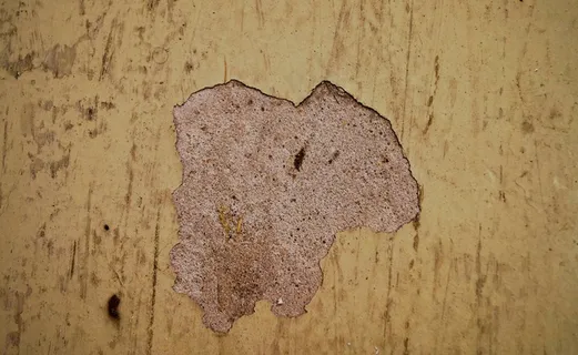 石膏,旧,堕落,瑕疵,黄色,棕色,脏 石膏,旧,堕落,瑕疵,黄色,棕色,脏