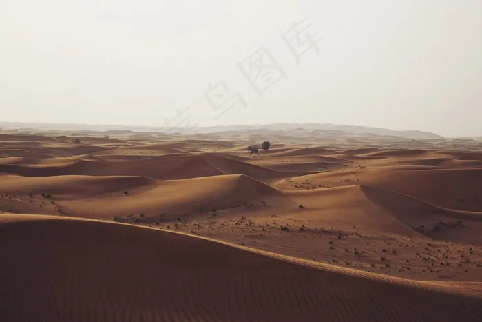 沙漠，沙丘，沙，干，热，非洲，橙色