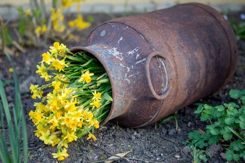 不锈钢，花朵，黄色花朵，牛奶罐