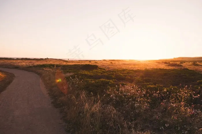 农村，道路，农村，性质，字段，草，植物